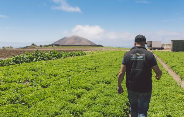 Florette invierte 2,5 millones en duplicar la capacidad productiva de su planta de Canarias