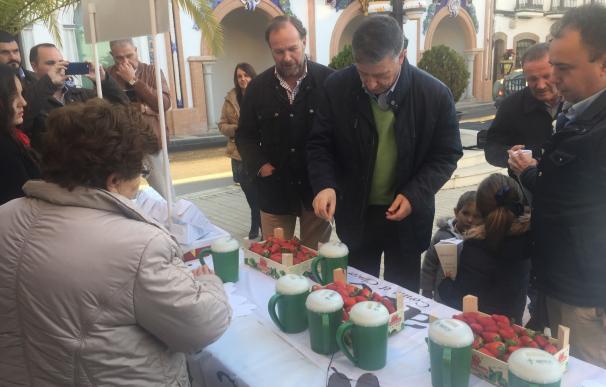 Agotados los cartuchos de la iniciativa 'Campanadas con fresas' que se han repartido en cinco municipios