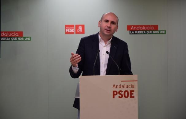 El PSOE-A expresa su "profundo dolor" por la muerte de Chacón, una mujer "muy importante" del partido