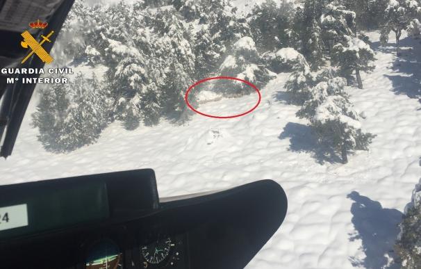 La Guardia Civil localiza 33 cabezas de ganado ovino extraviado por la nieve en la Sierra de las Cabras de Nerpio
