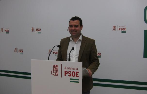 El PSOE pide al Gobierno un plan de reindustrialización del sector del mueble y de la madera en Andalucía