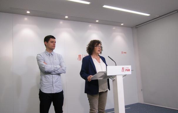 El PSOE apoyará la Ley de Renta de Ciudadanía pero trabajará para hacerla "más ambiciosa" en el futuro