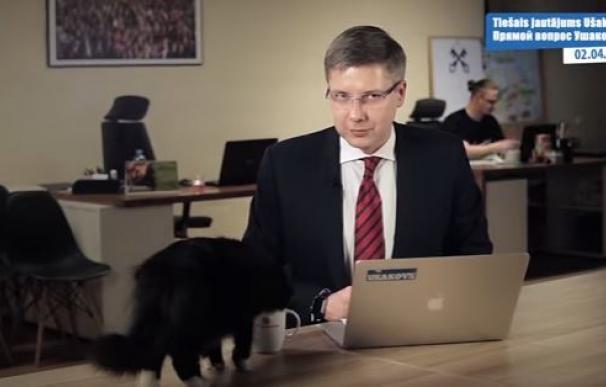 Un gatito interrumpe en la conexión en directo de un alcalde de Letonia