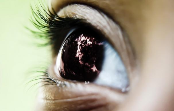 Una 'fisioterapia' para los ojos tras un ictus permite recuperar gran parte de la visión básica