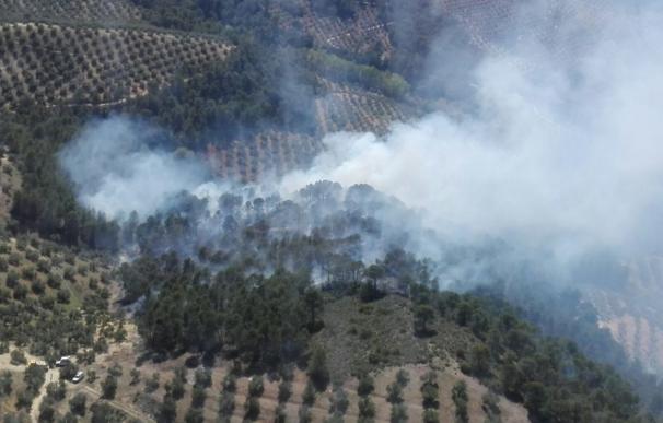 Un total de 11.593 hectáreas ardió en el primer trimestre de 2017, 9,5 veces más que hace un año