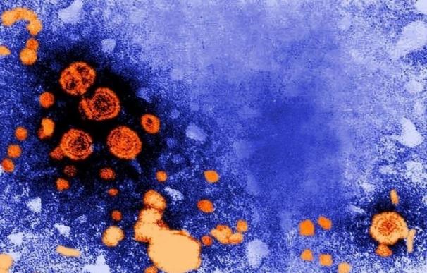 La OMS insta a adoptar de medidas "urgentes" ante la creciente epidemia de hepatitis