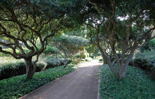 Costa dice que la apertura de los jardines de Marivent es "inminente"