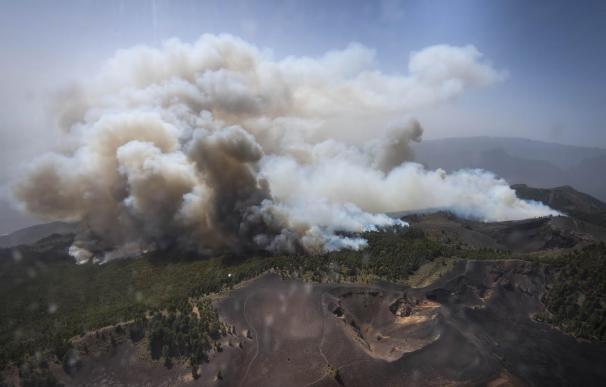 El fuego arrasa 62.830 hectáreas en los once primeros meses del año, casi un 35% menos que en el decenio