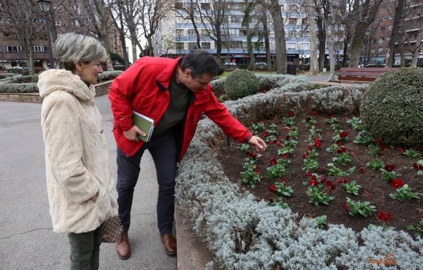Cerca de 30.000 plantas del vivero municipal adornarán los jardines parques de León este invierno
