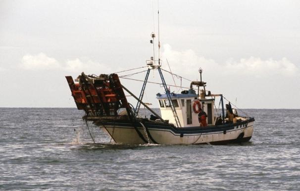 La Junta aumenta de tres a cuatro horas diarias las posibilidades de pesca en el caladero de chirla del Golfo de Cádiz