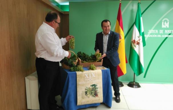 Iznate celebra este sábado su Día de la Uva Moscatel en su candidatura como Sistema Ingenioso Agrícola de la FAO