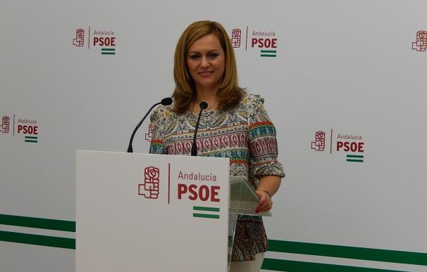 Serrano descarta que haya "tensiones" ante las primarias del PSOE en la provincia