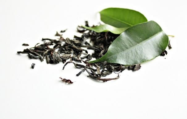 Un compuesto del té verde podría mejorar el deterioro de la memoria y la obesidad