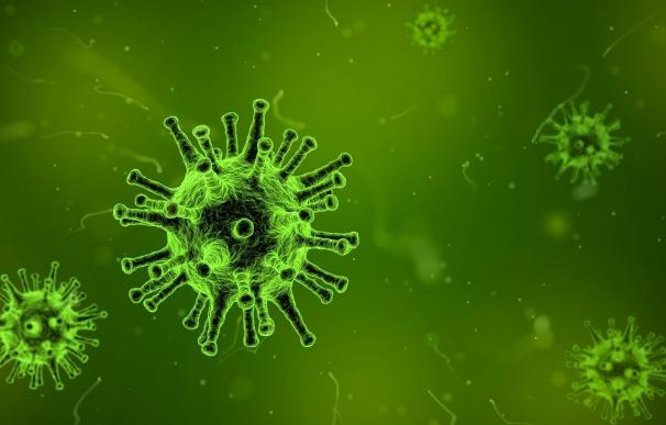 Una mutación en el sistema inmunológico puede convertir en mortales la infecciones por virus de la varicela