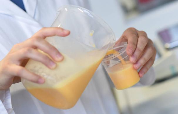 El Gobierno vasco ha inmovilizado veinte toneladas de huevo líquido contaminado.
