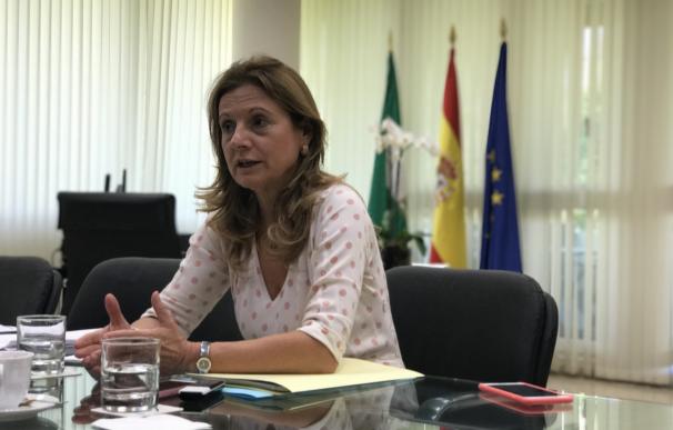 Álvarez aboga por "diálogo y consenso" entre todos los grupos políticos para tener una ley única de atención temprana