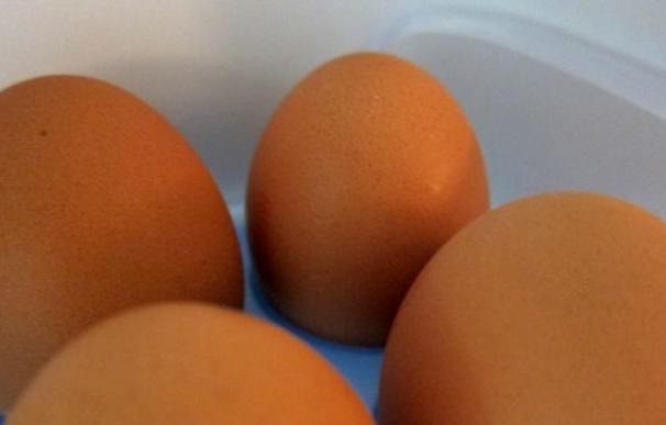 El pasado miércoles, Facua ya había exigido a Sanidad que aclarase si hay huevos contaminados en el país.