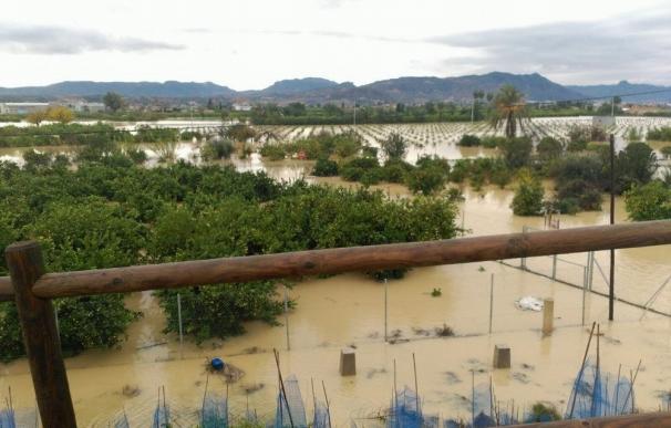 Gobierno murciano ofrece al sector agrícola un nuevo servicio para evaluar los daños por las lluvias