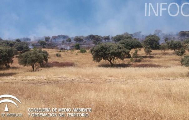 Controlado el incendio forestal de Villaviciosa de Córdoba y extinguido el de Villafranca