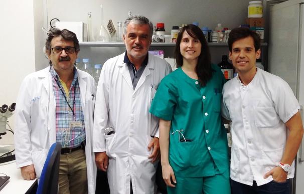Investigadores españoles descubren una nueva vía para mejorar los resultados en trasplante cardiaco