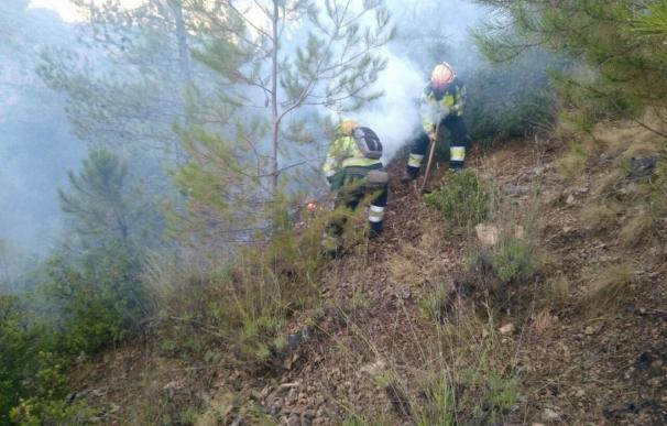 Gobierno C-LM ve "probable" que el incendio de Yeste (Albacete) quede extinguido en esta semana