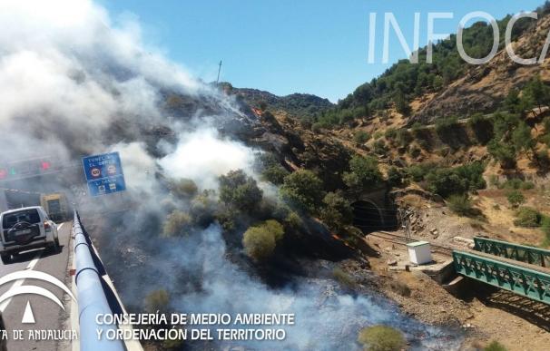 Estabilizado el incendio de Ciudad Real que afecta a la localidad de Santa Elena