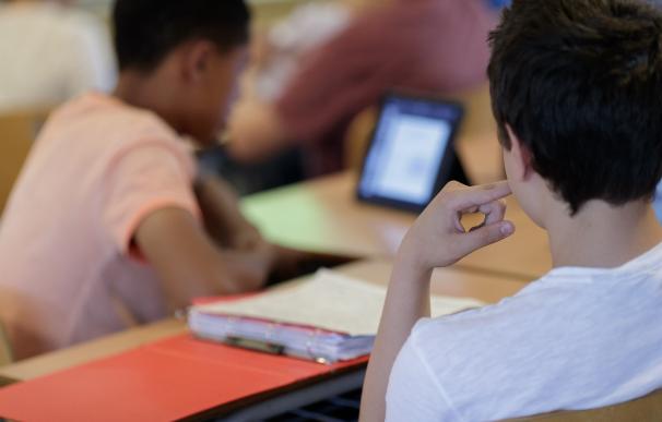 Casi la mitad de los alumnos de Primaria en Castilla y León recibe enseñanza bilingüe
