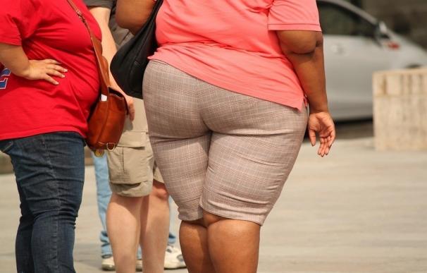 La UV participa en un estudio que revela que el 30% de la población mundial tiene problemas de obesidad o sobrepeso