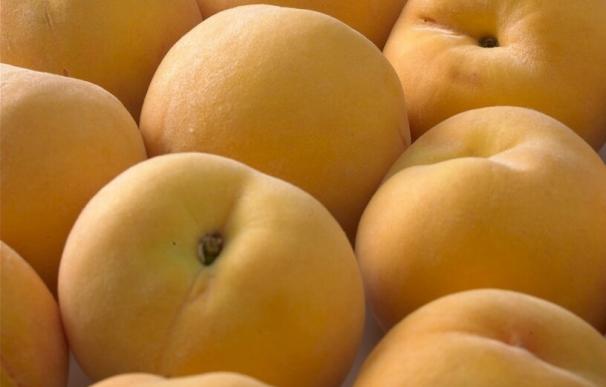 Gobierno de Aragón espera la semana que viene respuesta sobre su solicitud de nuevos cupos de retirada de fruta de hueso