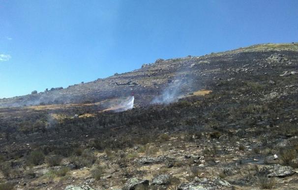 Nueve helicópteros y tres aviones se incorporan a los trabajos de extinción en Acebo (Cáceres)
