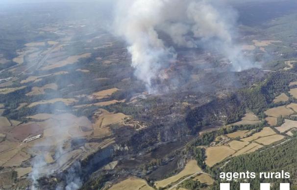 Ascienden a 300 las hectáreas afectadas por el incendio de Artés (Barcelona)