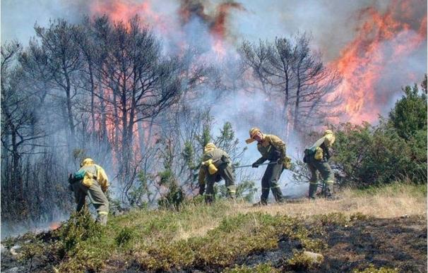 El Estado aportará 400.000 euros para la restauración de la zona afectada por el incendio de Tafalla