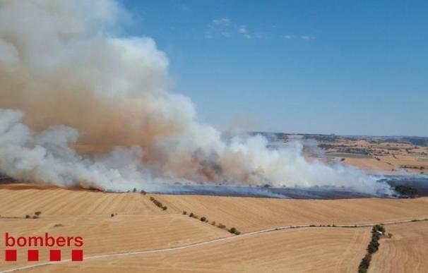 Los bomberos trabajan en un incendio agrícola y forestal en Tàrrega (Lleida)