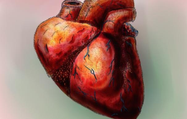 Un fármaco experimental podría ayudar a restaurar la función del corazón tras la insuficiencia cardiaca