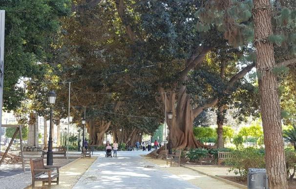 El Ayuntamiento de Murcia fumiga más de 20.000 árboles contra el pulgón