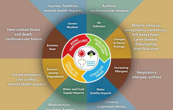 Cómo afecta el cambio climático en la salud
