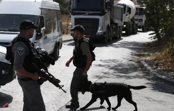 Llevaban armamento y perros policías para localizar a los atacantes