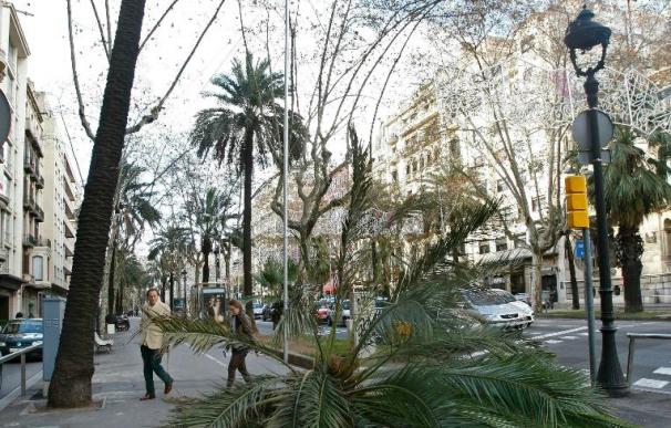 Los Bomberos realizan 24 salidas debido al viento en Tarragona