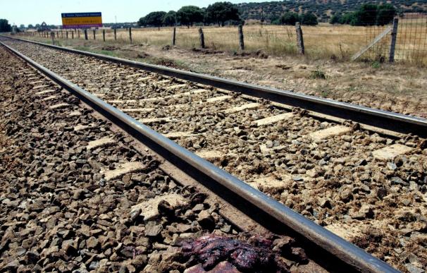 Muere un hombre de 79 años arrollado por un tren en la estación de Villarreal