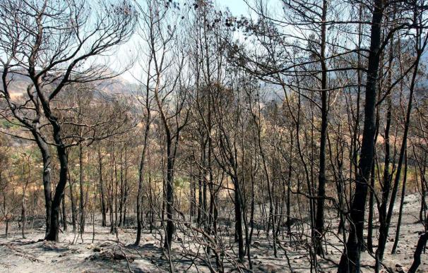 CiU, PP y C's crean una comisión de investigación sobre el incendio de Horta