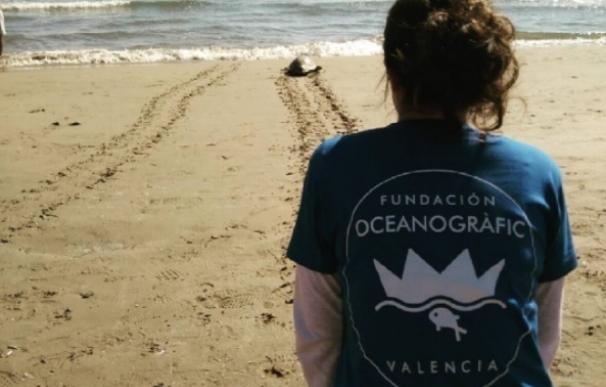 Fallece un delfín listado que apareció varado en la playa de Dénia (Alicante)