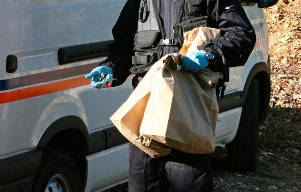 Detenido en Francia un acusado de "kale borroka" huido desde 2007