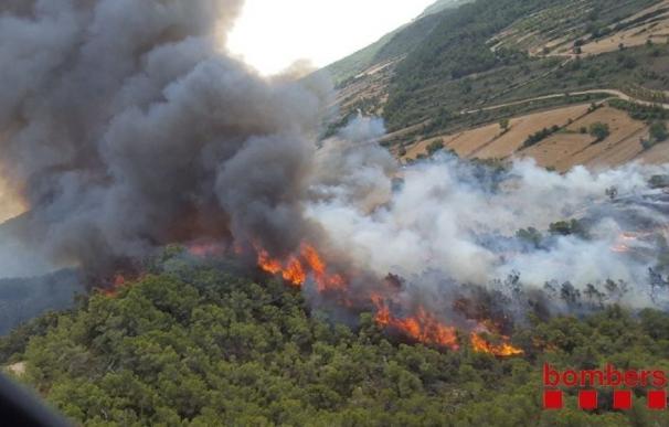 Los bomberos controlan el incendio en Vallbona de les Monges (Lleida) tras quemar 15 hectáreas