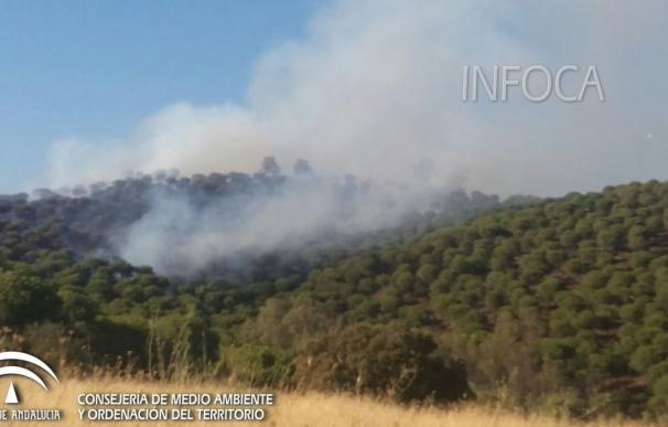 Estabilizado el incendio forestal en un paraje de Villafranca de Córdoba