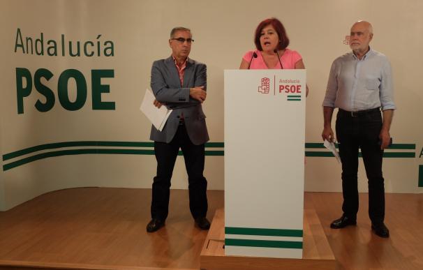 El PSOE dice que las visitas de Rajoy y siete ministros no se han traducido en "compromisos" con la provincia de Granada