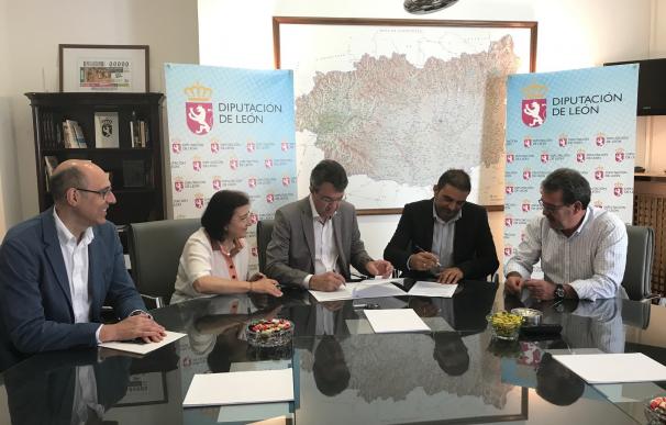 La Diputación de León destina 26.000 euros para colaborar con un proyecto de modernización del cultivo del lúpulo