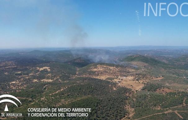 Desalojados en prevención cuatro cortijos por el incendio forestal de Villaviciosa de Córdoba