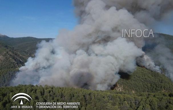 Más de 150 efectivos de Infoca trabajarán esta noche para controlar el incendio en Segura de la Sierra