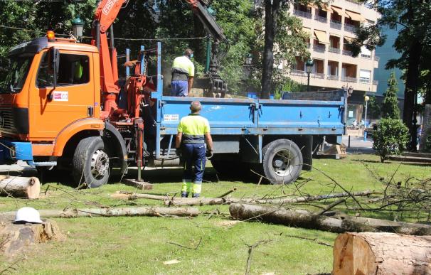 El Ayuntamiento retira cerca de 40 árboles muertos o en mal estado del parque Manuel Barquín