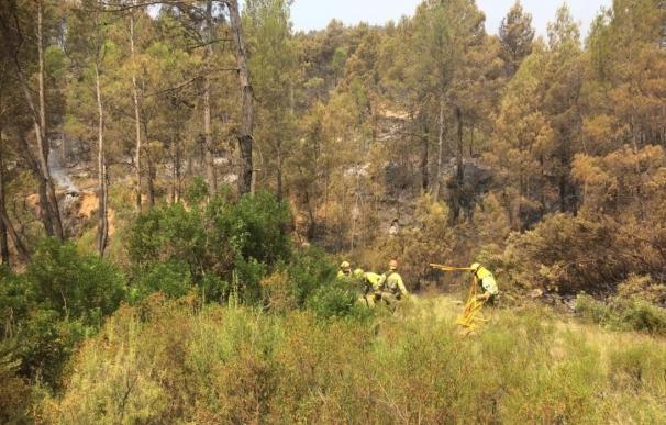 Once medios y 46 personas continúan trabajando en la extinción del fuego de Yeste (Albacete)